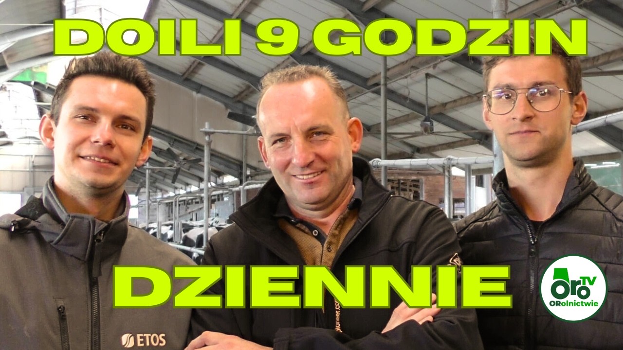 Trzy obory w jedną. Frątczakowie produkują dużo i tanio