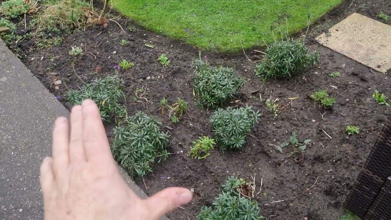 A Look At The Beers Games and Gardens  - March 2026 