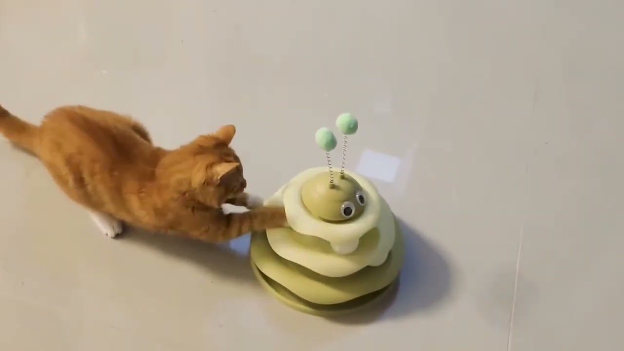 Try Not to Laugh – Funniest PET Moments Ever #52
