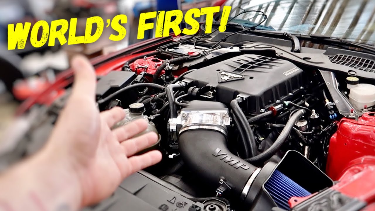 FIRST EVER! 5.2 Engine Swapped VMP Odin Supercharged 2019 Mustang GT First Start!