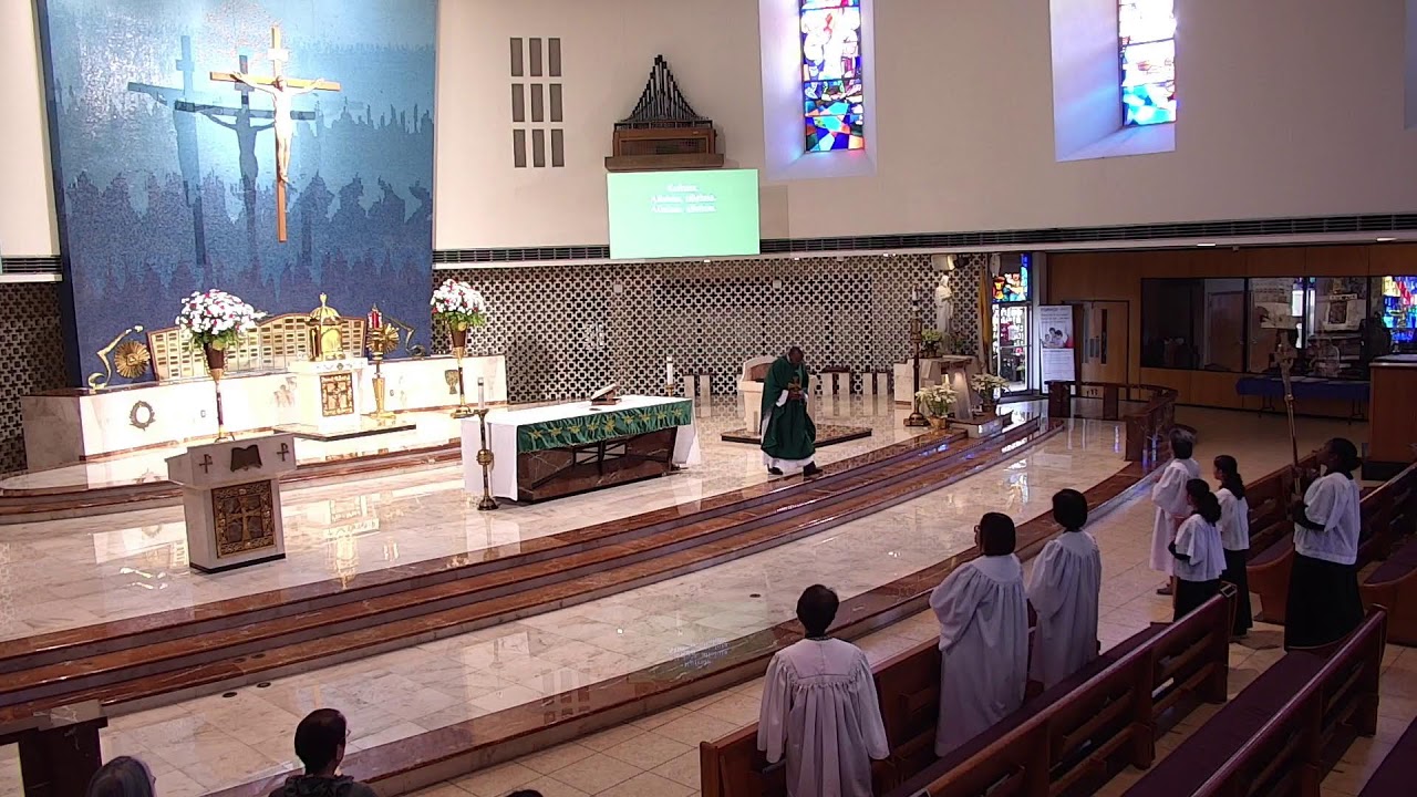 Sunday Mass - 2/15/2026