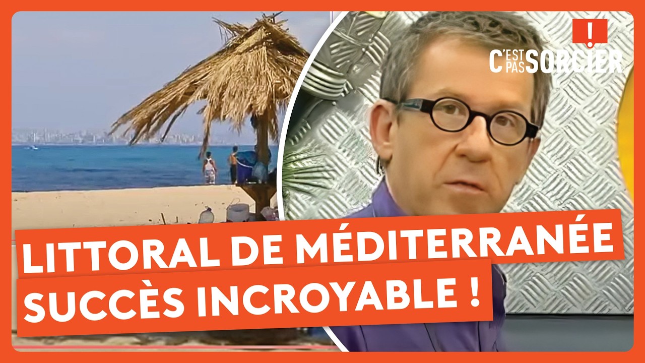Le littoral de Méditerranée et son succès incroyable ! - C'est pas sorcier