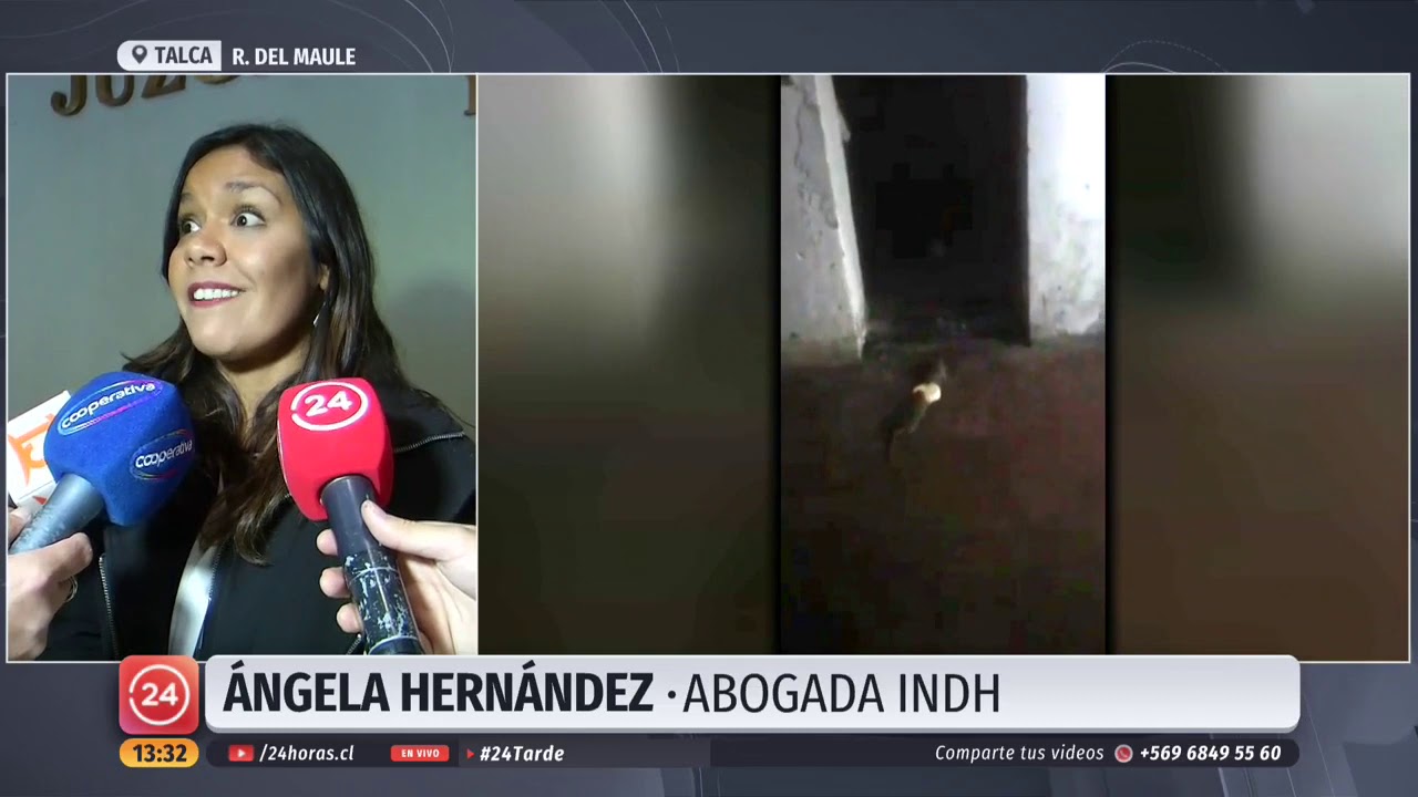 Grabó ratas en la celda: Reo denuncia tratos 