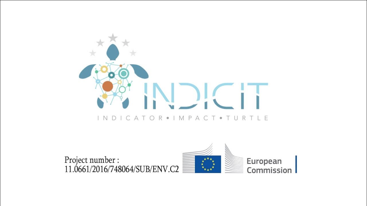 Marine litter impact on sea turtles-INDICIT PROJECT