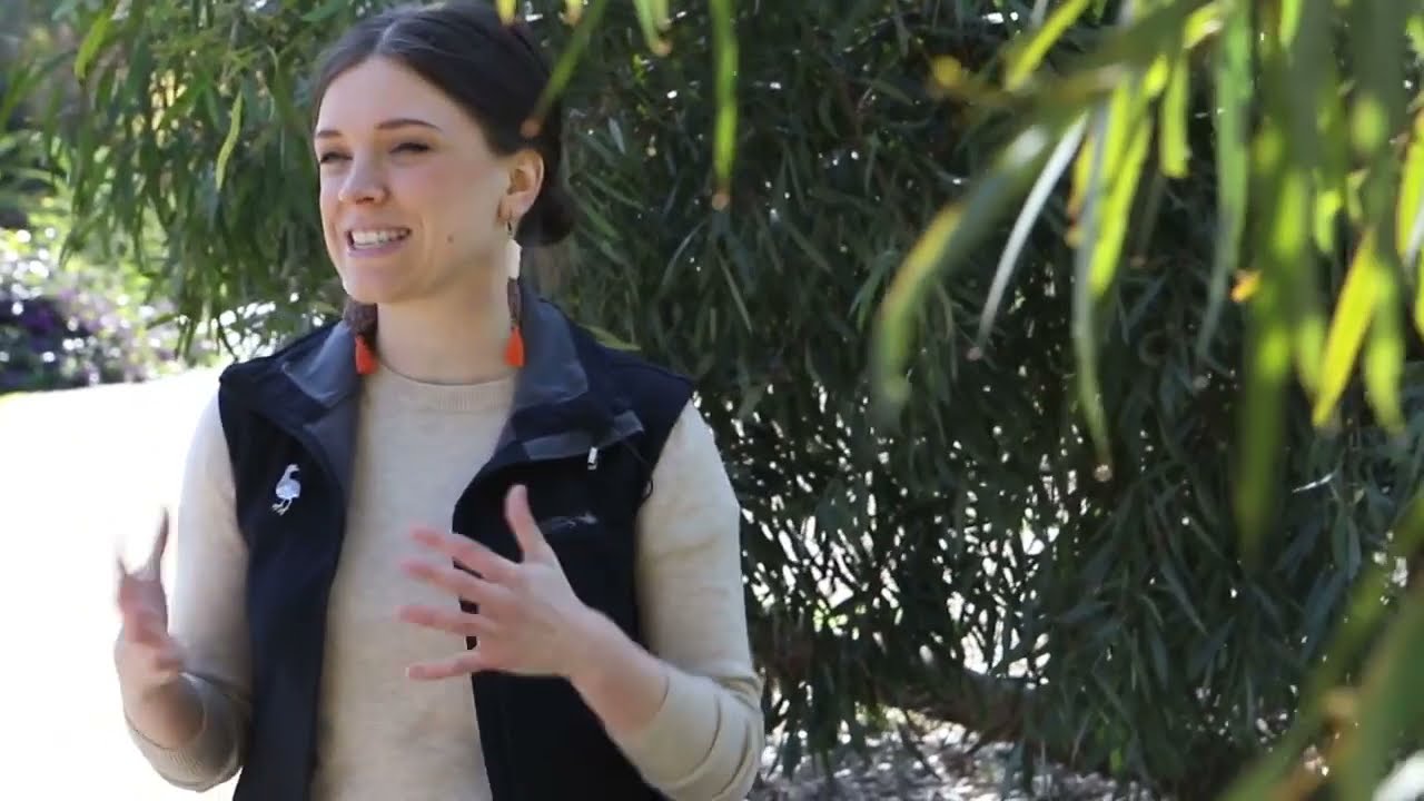 Creating a wildlife friendly garden in Adelaide