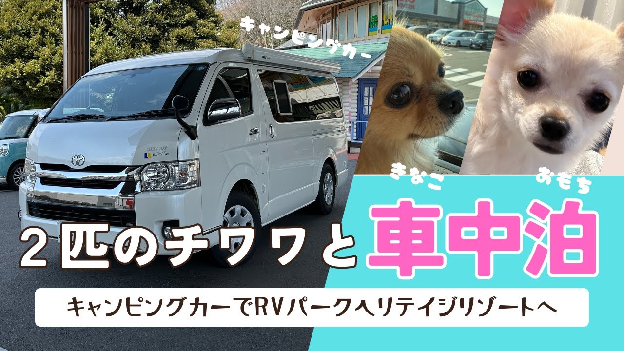 【RVパークヘリテイジリゾート】2匹のチワワとレンタルキャンピングカーで初車中泊旅／RVパーク ヘリテイジ リゾートへ / リンエイ ワイドバカンチェス・リッツ