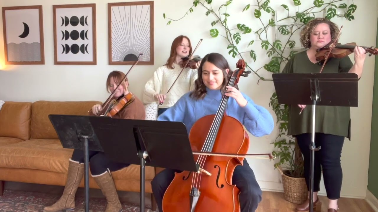 I Want to Hold Your Hand - The Beatles String Quartet Cover