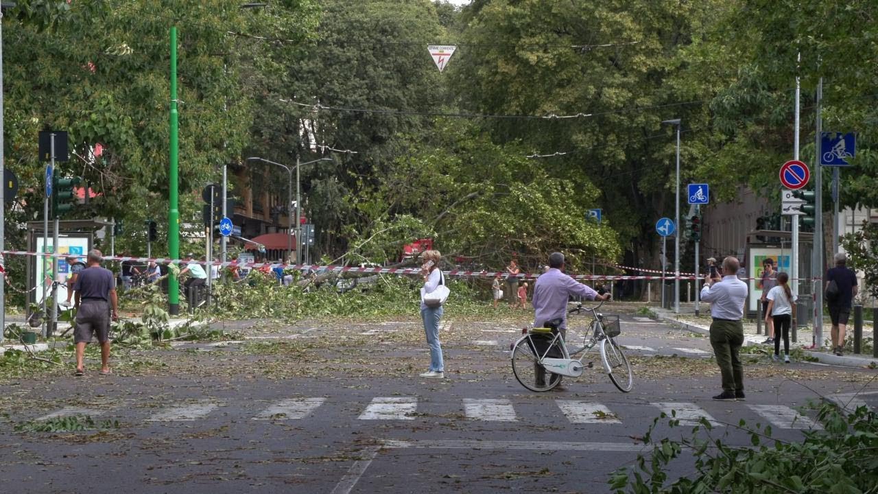Maltempo, dopo il nubifragio Milano è una giungla. Alberi per strada e disagi per i pedoni