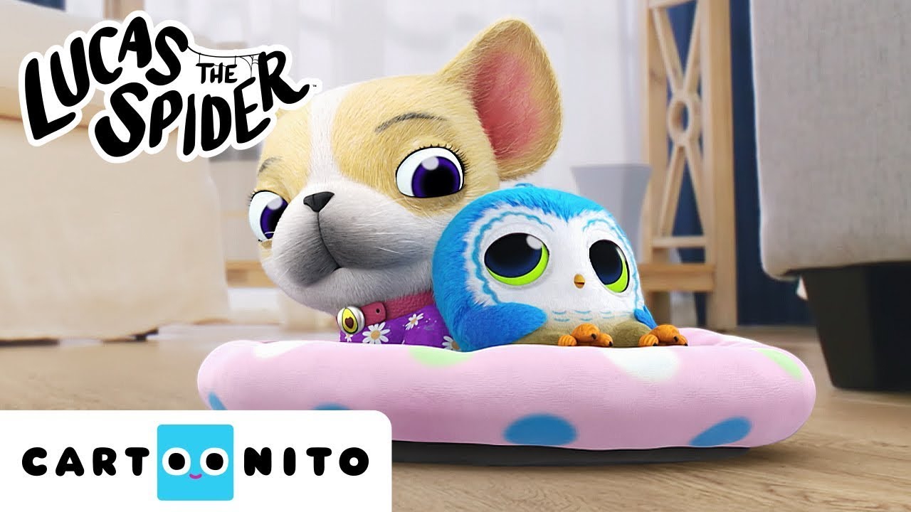 The Owl Really Wants to Play with the Puppy | Lucas the Spider | Cartoons for Kids | @cartoonito