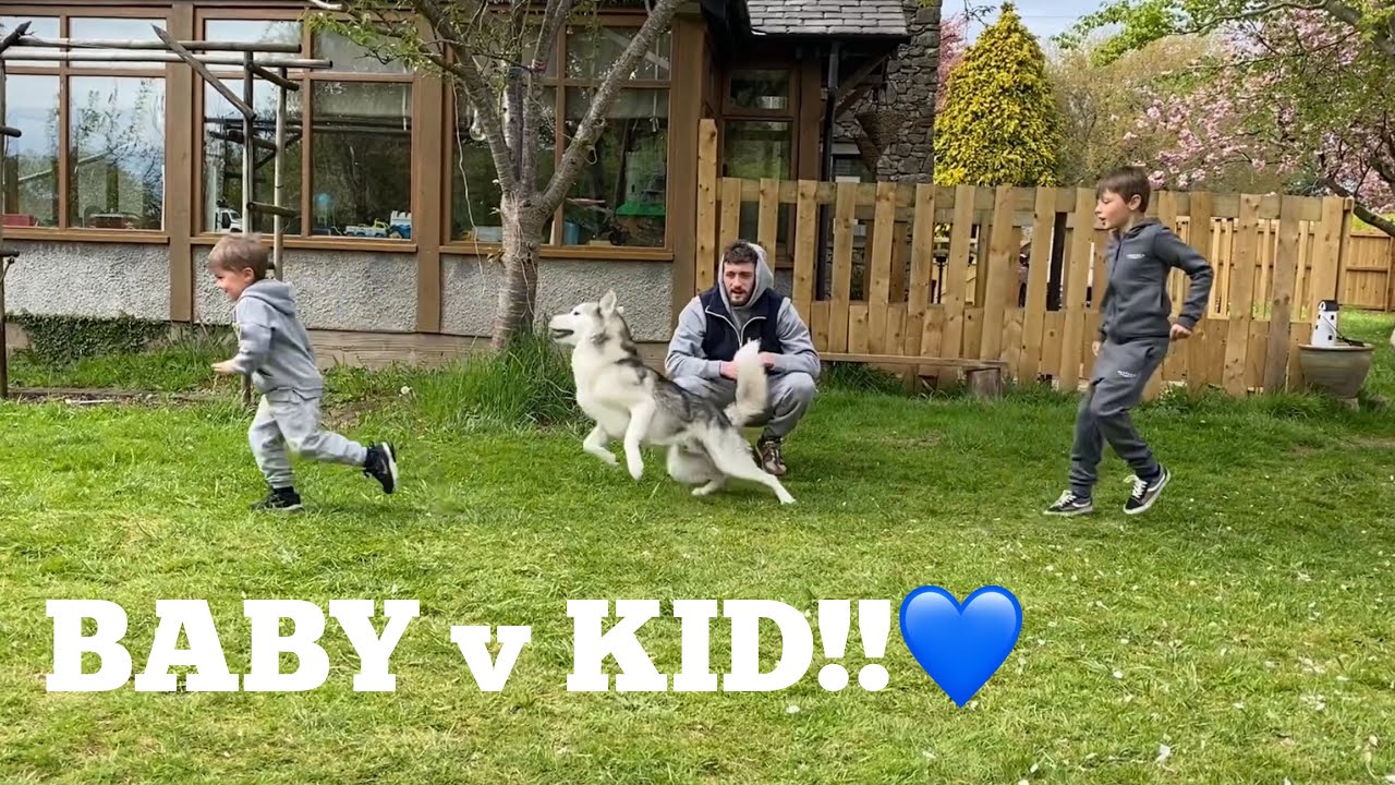 Which Kid Does My Huskies Love The Most Challenge!! [FUNNIEST REACTION!!]