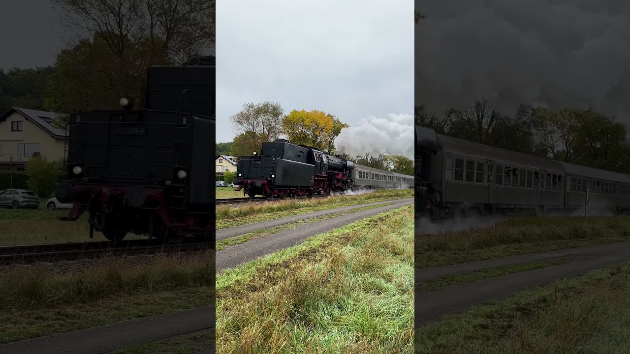 Pfalzdampf 2025 (10.-12.10.2025)