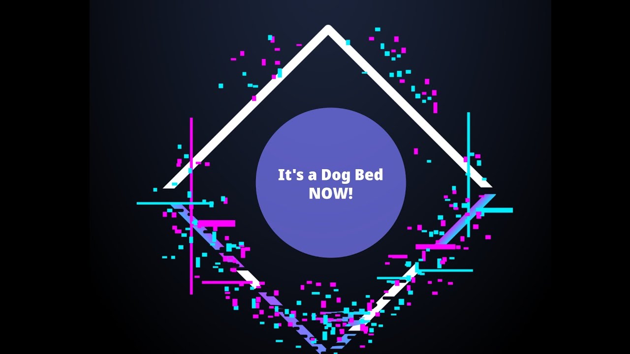 Its a Dog Bed Now