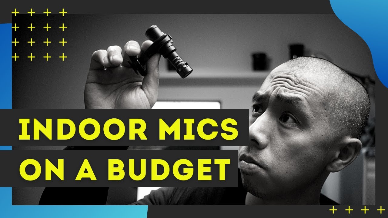 Can you use THESE mics for indoor dialogue?