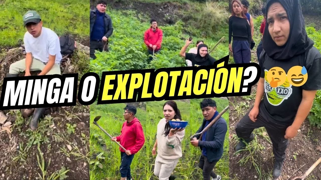 Paco17 no ayuda en la minga a sus hermanos🤣
