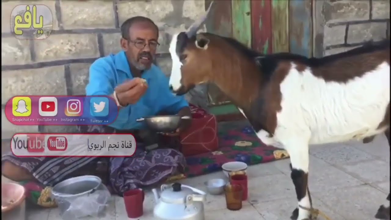 يافع ريو  بيتنا