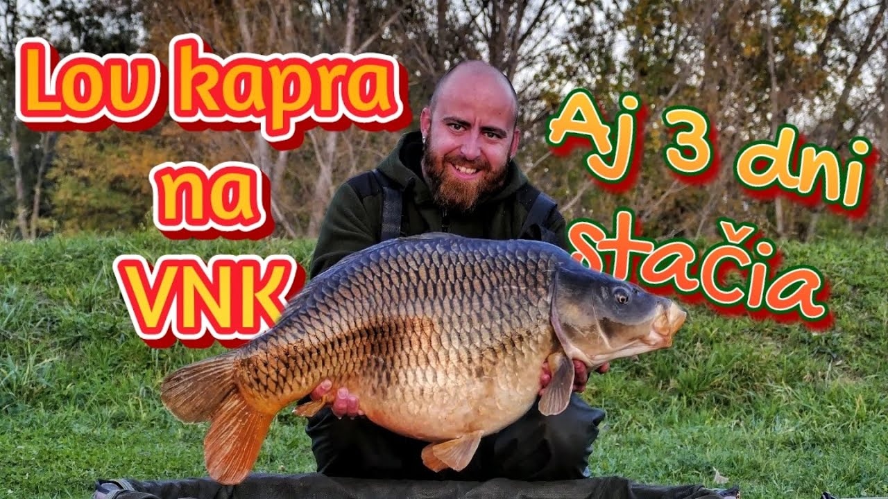 Lov kapra .35 - VNK 👍 aj tri noci stačia 🐟