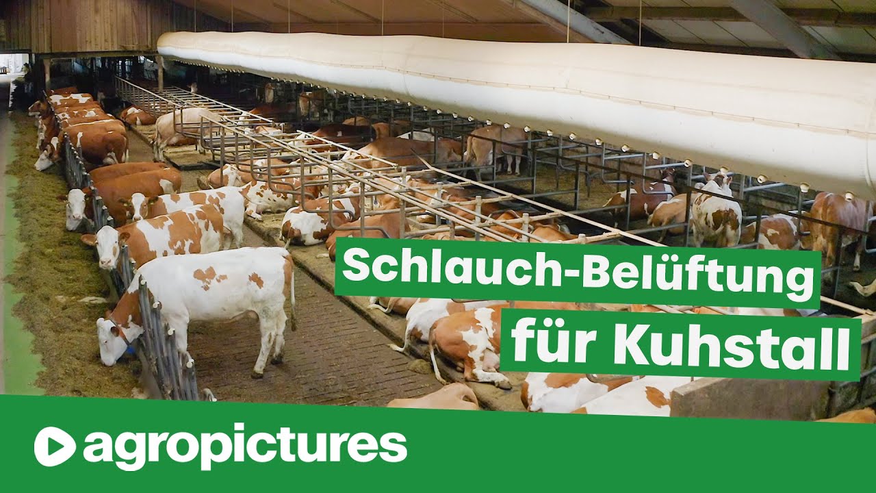 Schlauchbelüftung für Kuhstall am Betrieb Murnauer | Frischluft im Stall | Dr. Knopf & Oswald