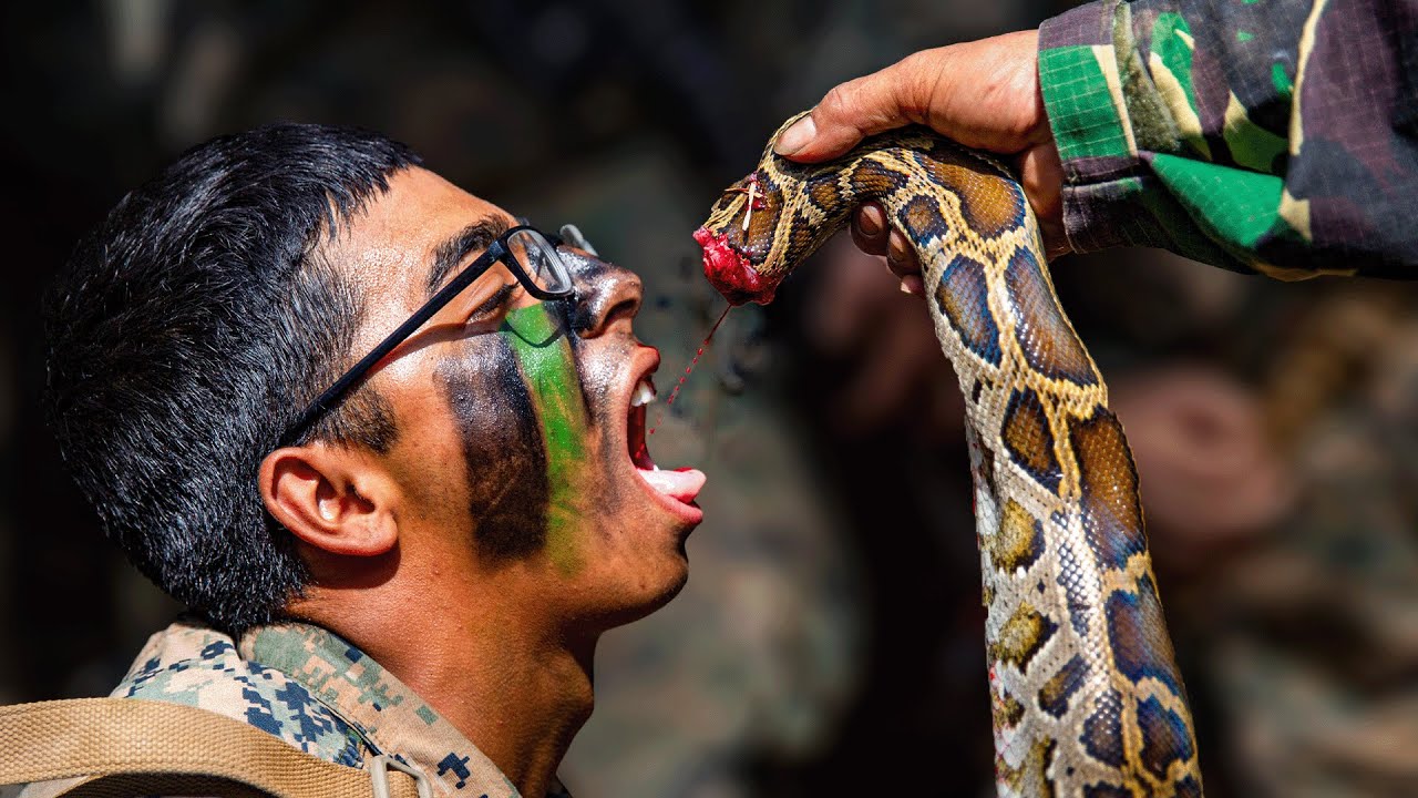 US Marines Learn Jungle Survival Skills From Indonesia Marines
