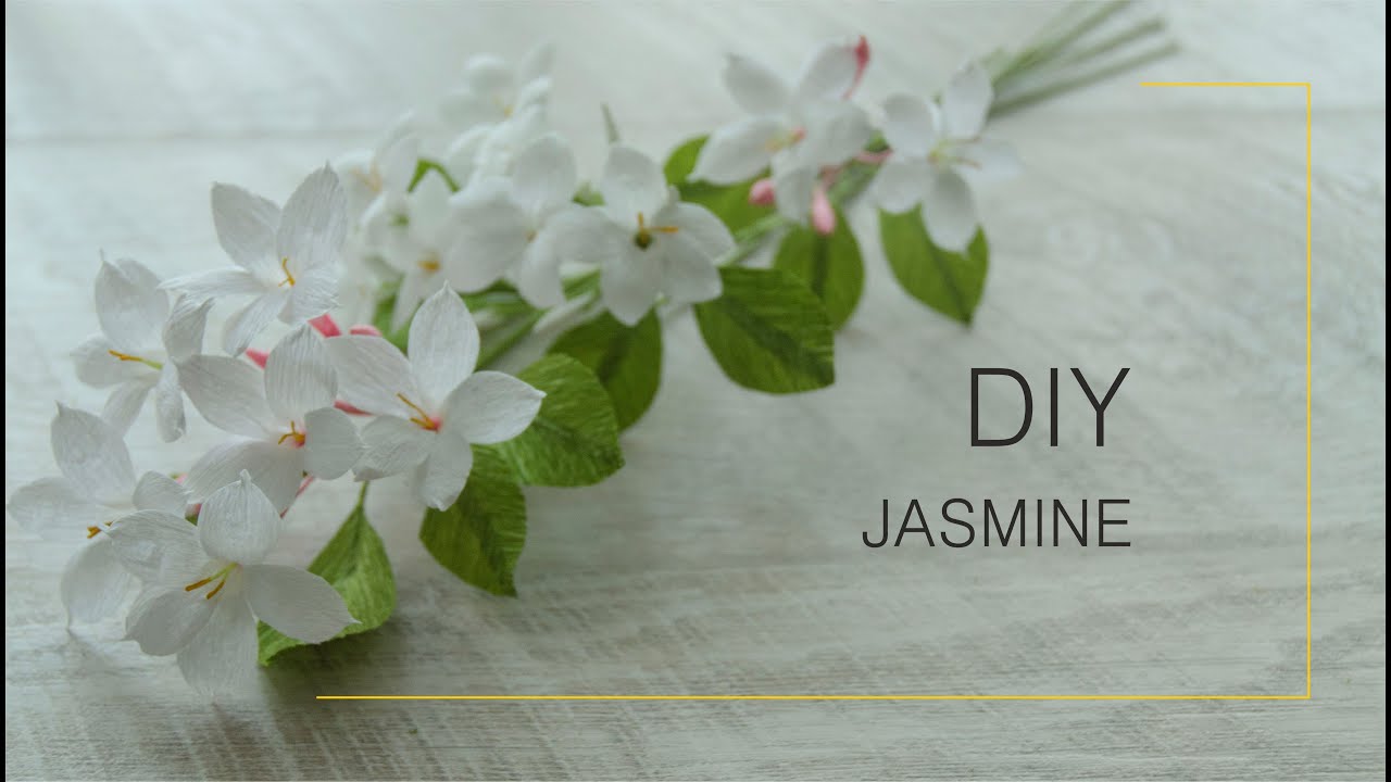 How to make JASMINE from crepe paper