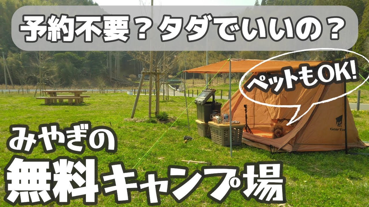 【宮城県の無料キャンプ場】ペット可。予約不要。釣りが出来る穴場キャンプ場（デイキャンプ限定）　トイプードルむぎと一緒にご紹介