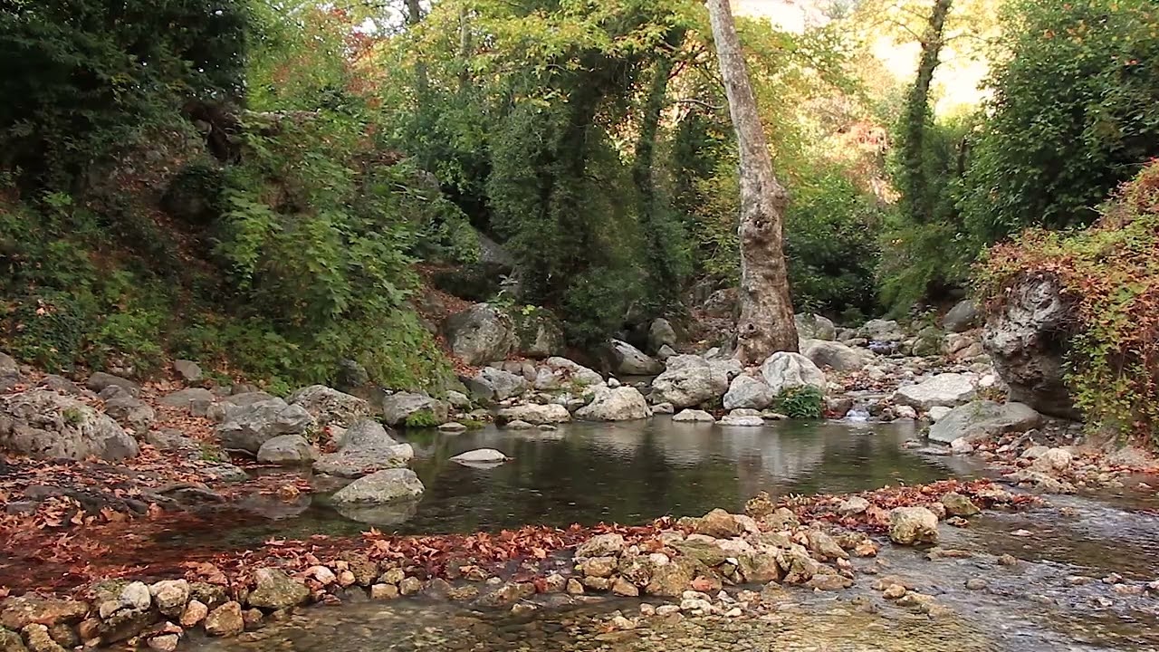30 Minutes of Autumn Forest Stream Sounds - Relaxation & Meditation