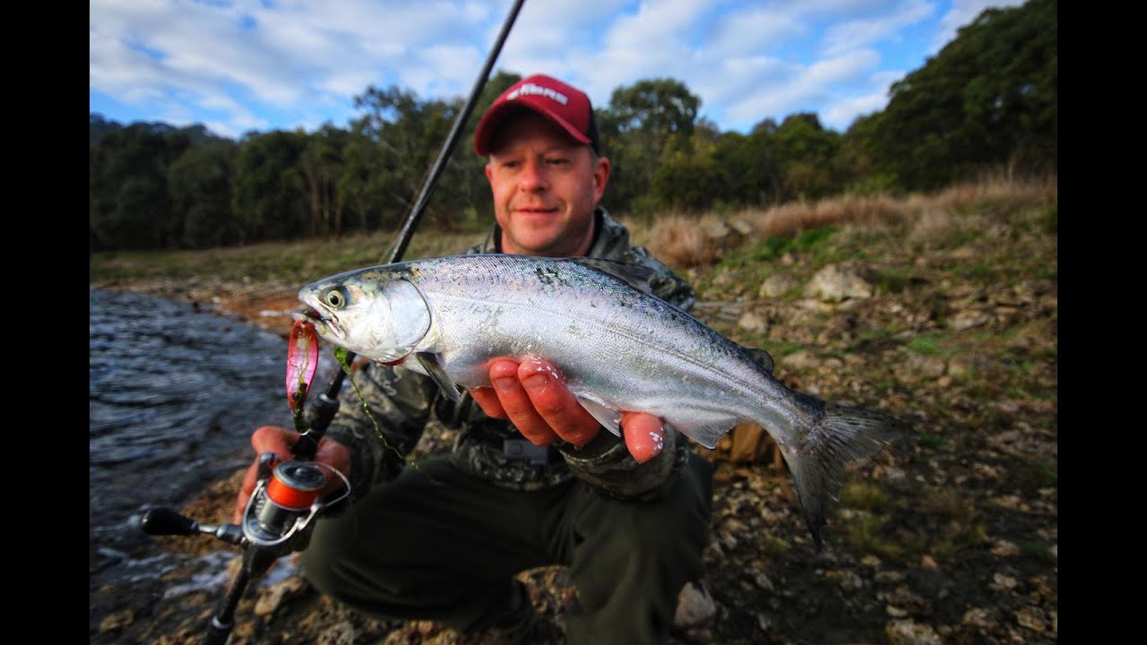 Shore Casting Spoons to Bullen Merri Missiles