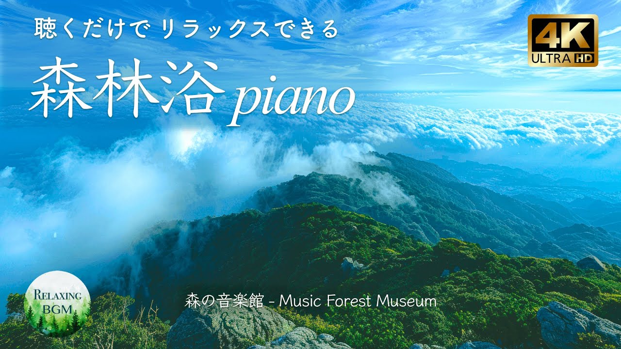 【放松的BGM🌿】舒缓的自然之声和轻柔的钢琴声、森林浴、疗愈音乐、工作、放松音乐、潺潺溪水、鸟鸣、学习、专注力、自律神经调节