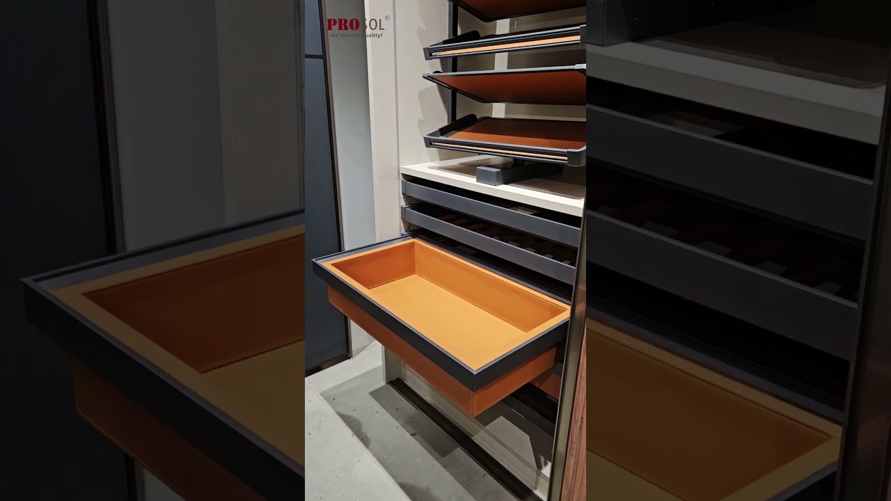 Wardrobe Leather Basket Pull Out for Clothes Storage | Wardrobe Accessories |  PROSOL