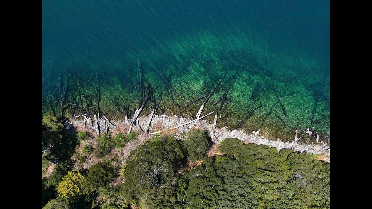 Lago Pinto Concha 4K