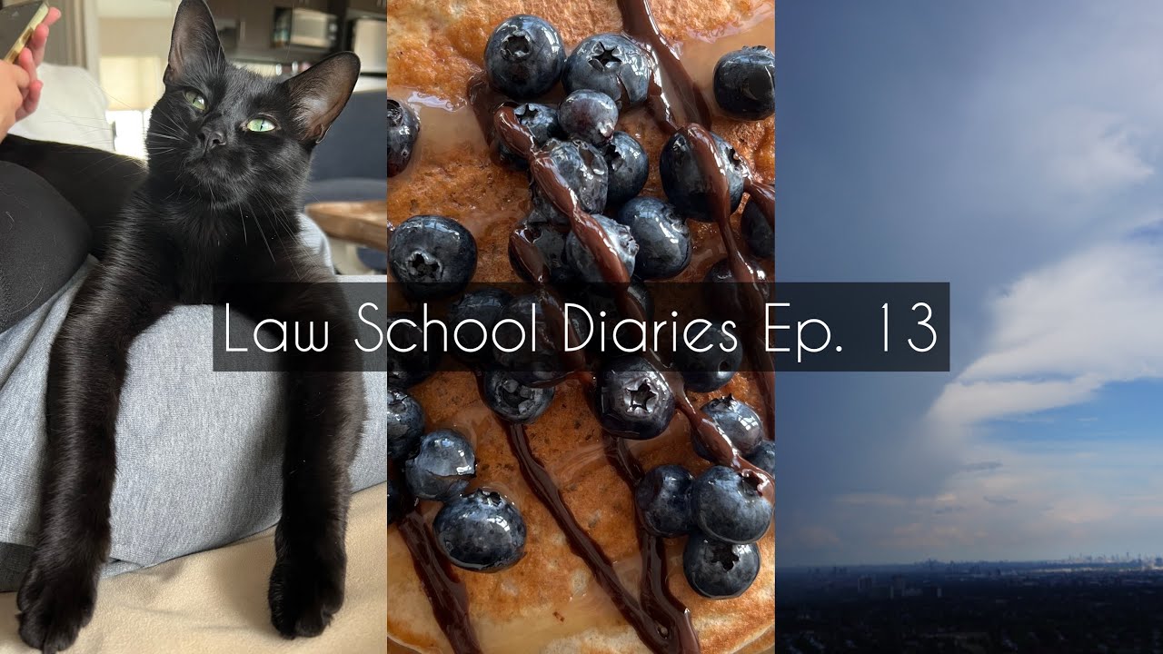 Law School Diaries ep. 13 - new monitor, cooking, catching up on work