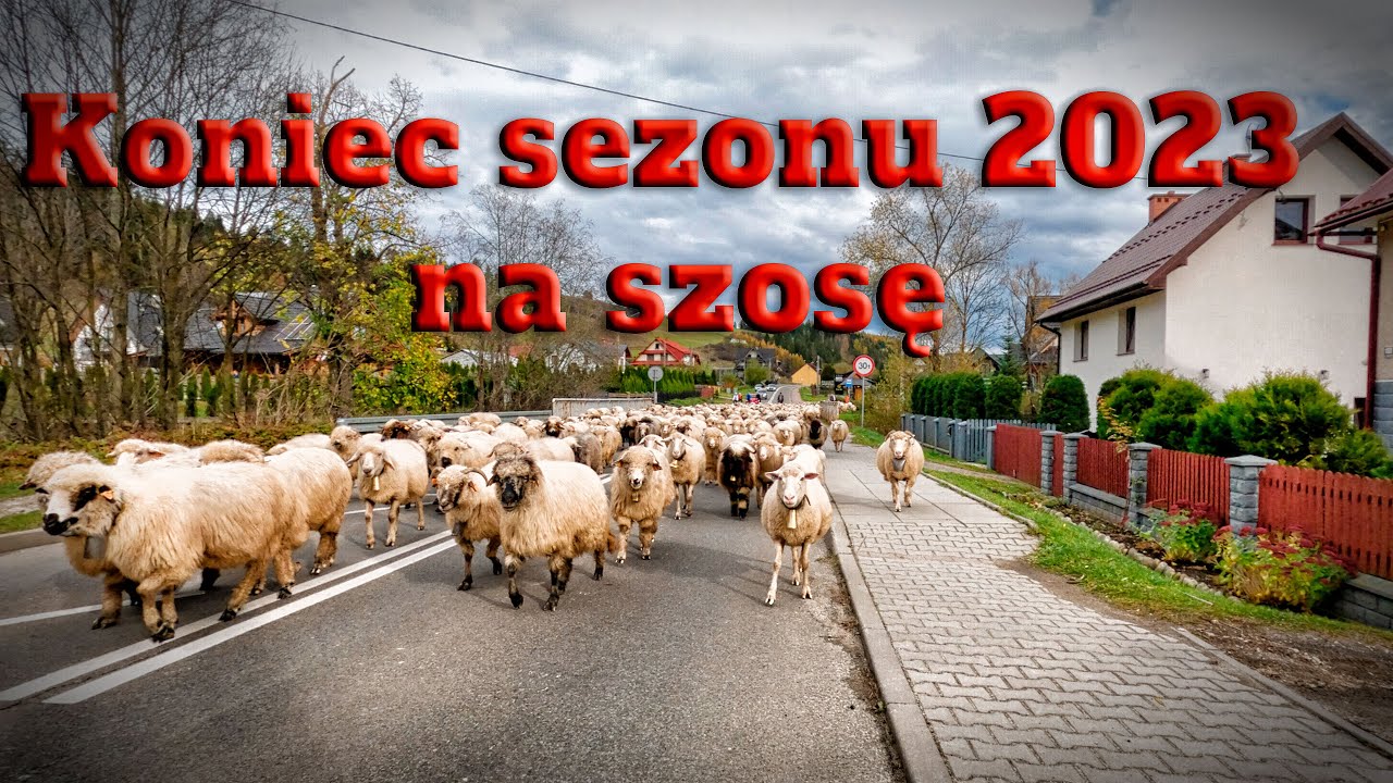 Koniec sezonu 2023 na szosę.