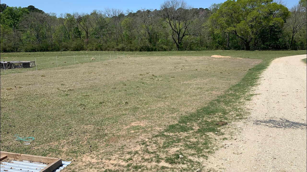 Rotating Goat Pastures With Premier 1 Netting