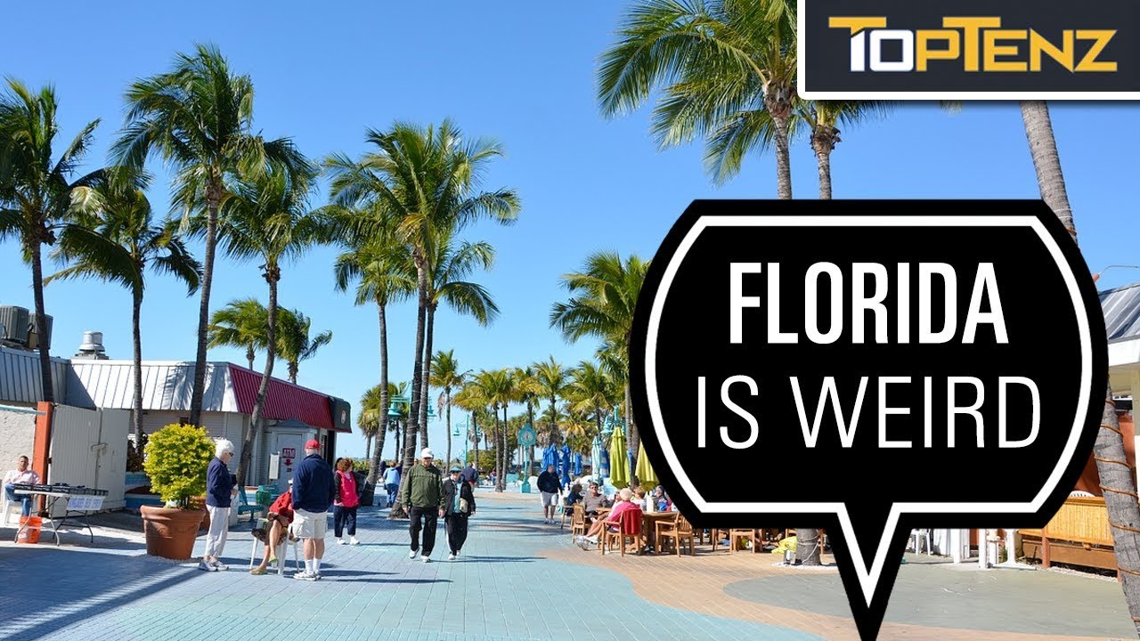 10 Misadventures of “Florida Man”