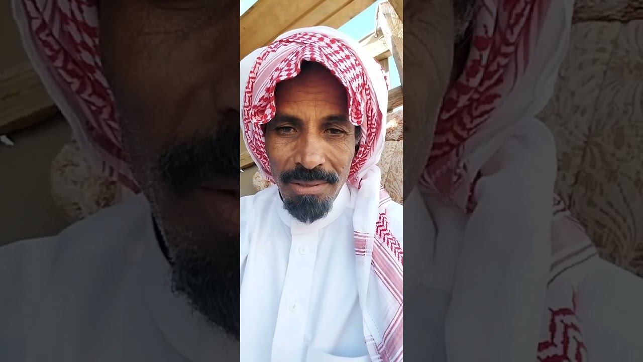 قصة  راعي العايدي  كيف الله ساق له الرزق