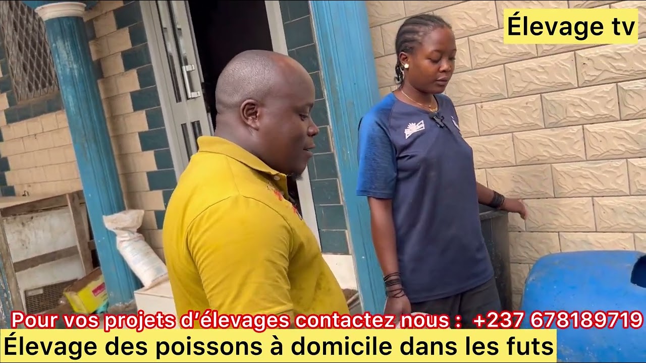 Pisciculture : élevage des poissons à domicile dans les fûts