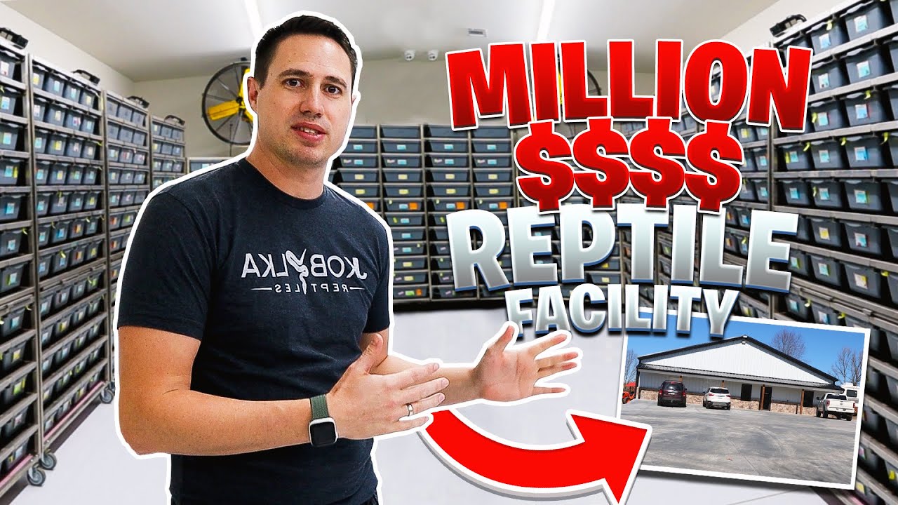 Million Dollar reptile Facility Tour