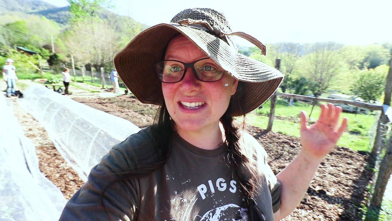The Secret To GROWING ORGANIC CABBAGE AND BROCCOLI in the Garden!