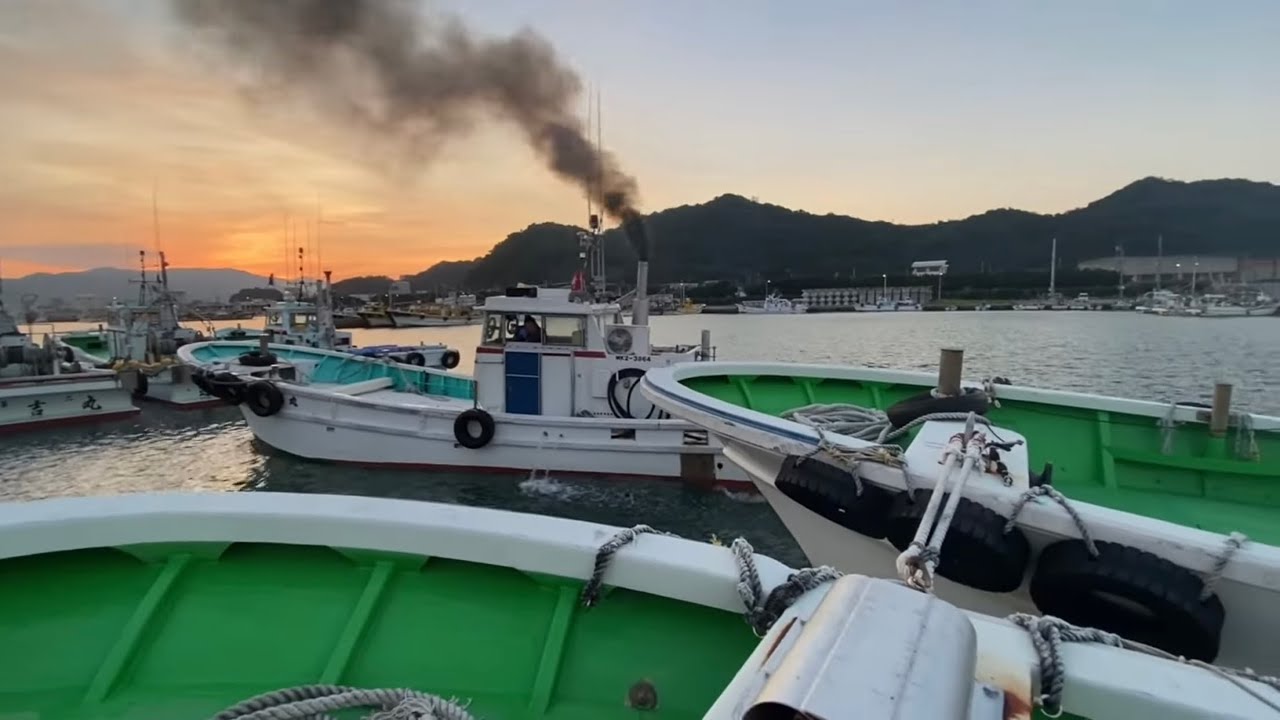 日本漁夫【シラス漁】二週間の盆休み明けシラスはあるのか？和歌山県箕島漁港　出港から漁の様子　競りの様子までガッツリ❗️