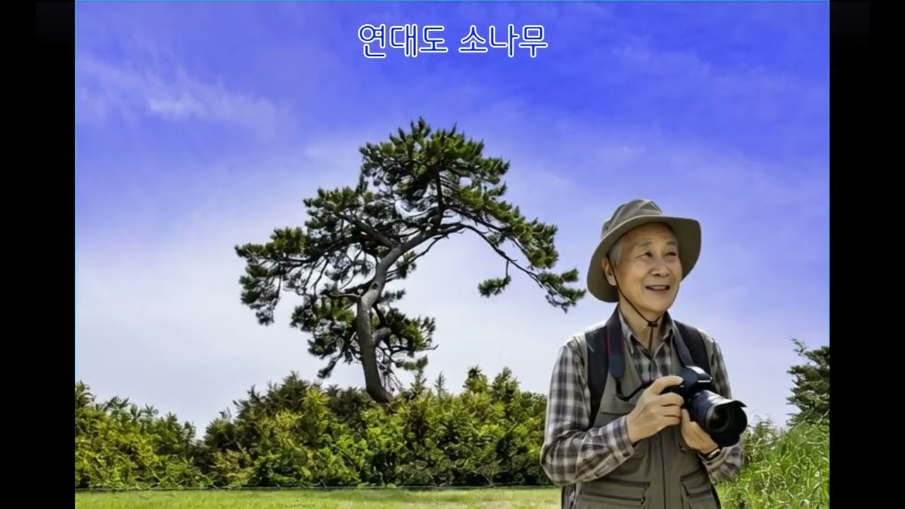 소나무가 있는 풍경 1