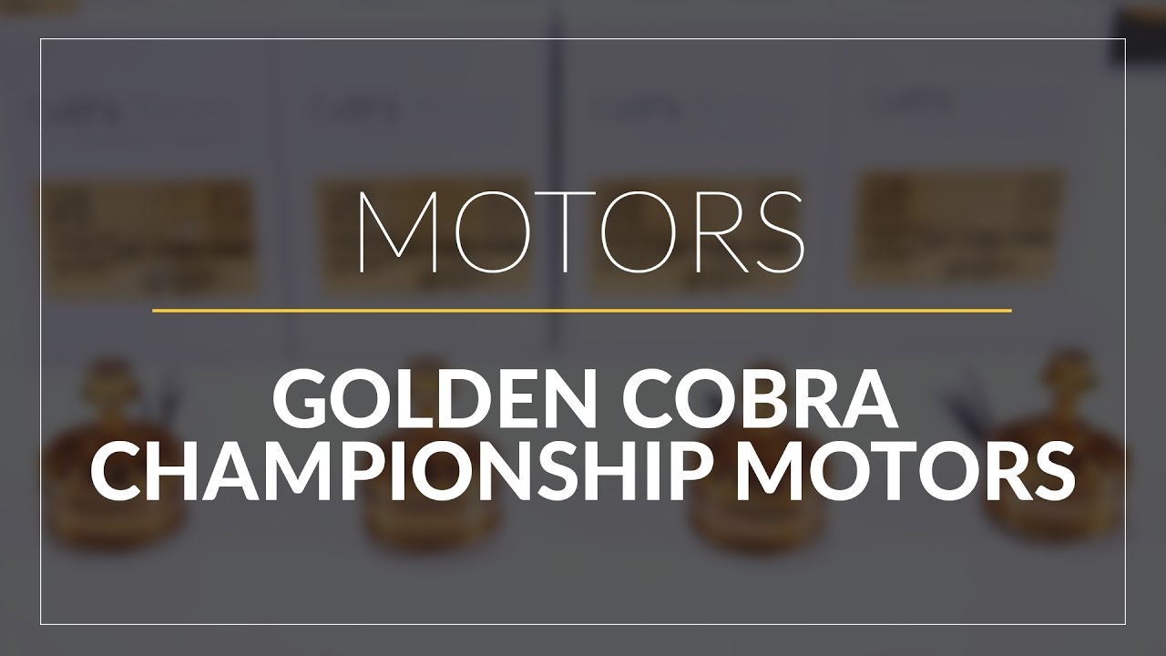 Cobra Champion Series Gold // Motors // GetFPV.com