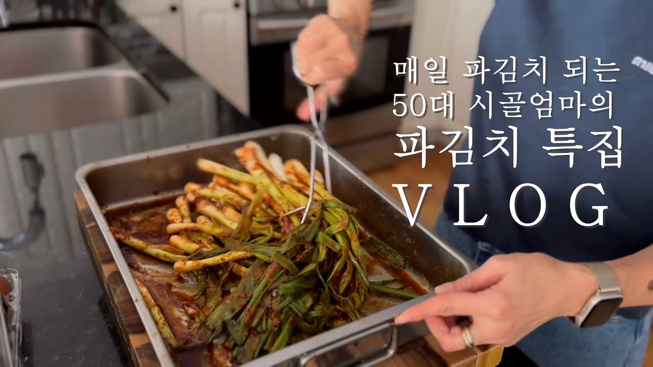 매일 파김치 되어도 감사한 이유/너무 쉬운 미곰이 파김치/ 파김치볶음 감태주먹밥/ 파김치 부침개/ 파김치 짜장면/ 미국시골엄마의  이야기 Vlog