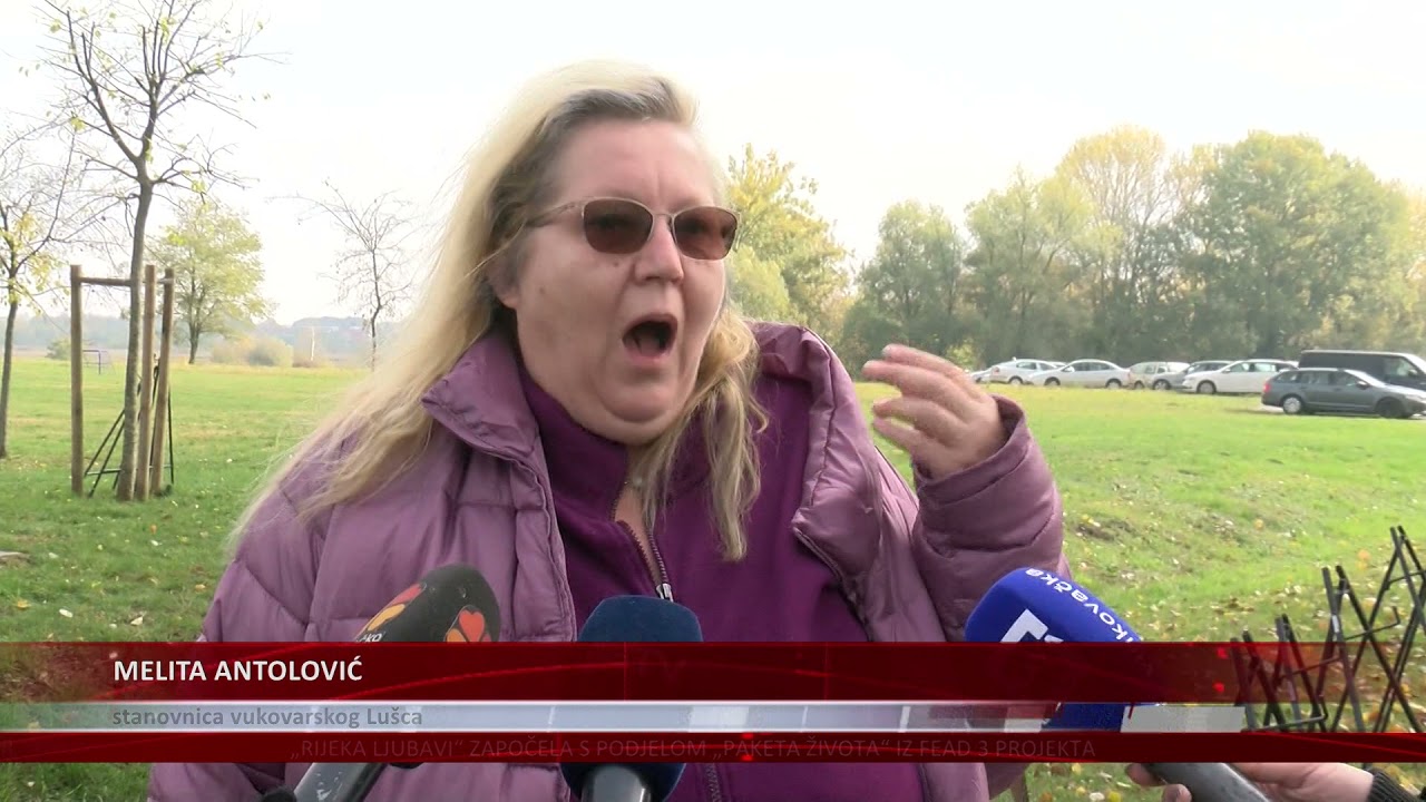Pad Lušca označio je početak vukovarske kalvarije