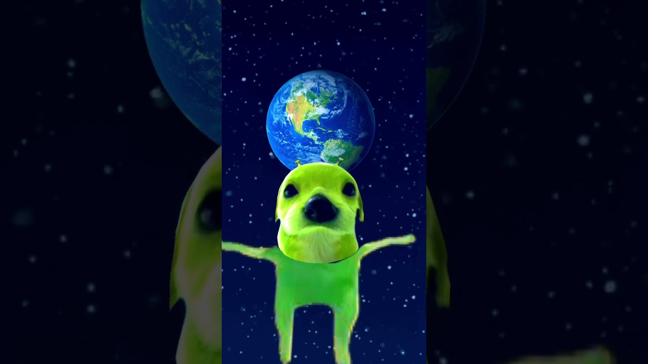 ???????#aliendog#spungella