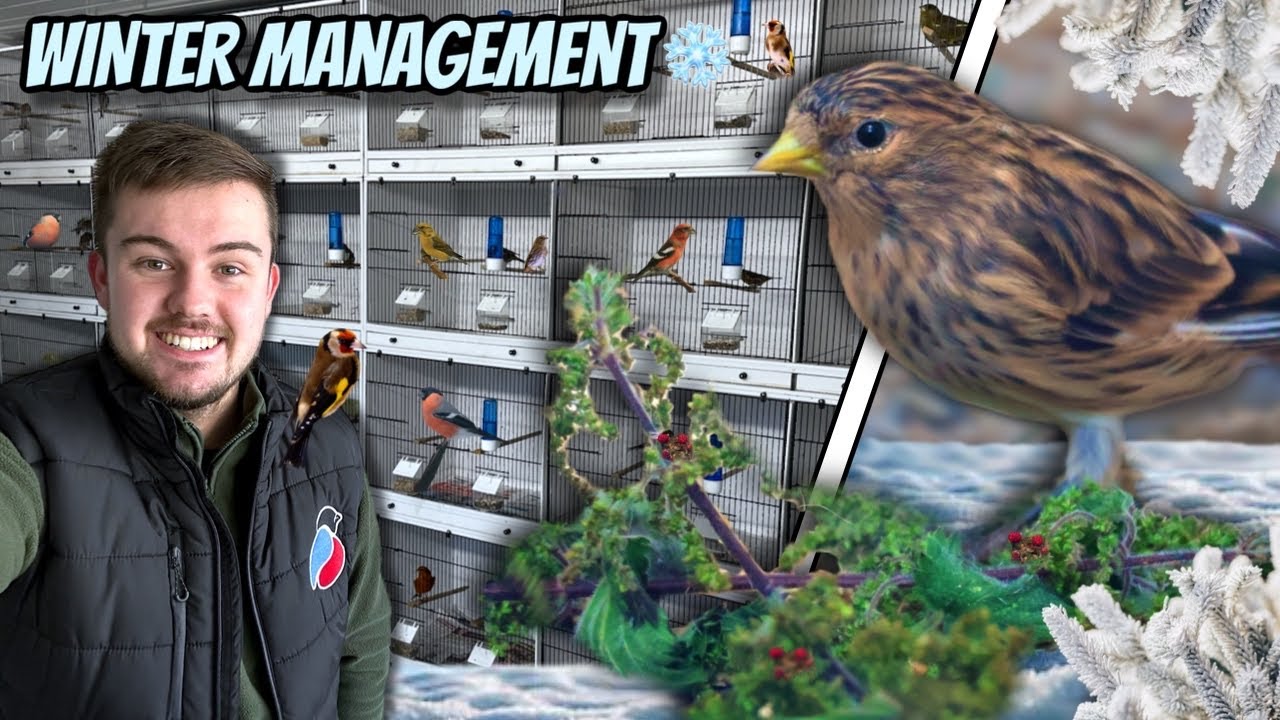 WE’RE BACK! | 2025 at OC Aviary