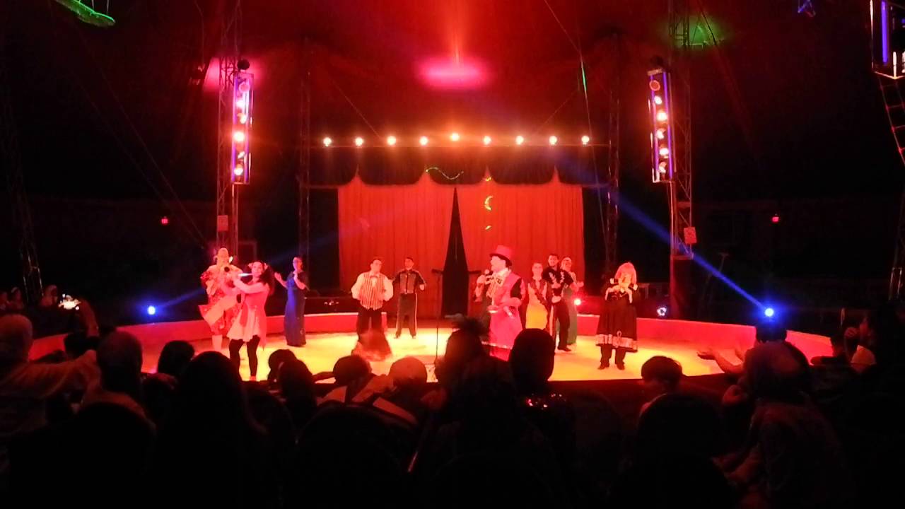 Musical Clowns Quartet Gorgon Grigorescu -LIVE MUSIC