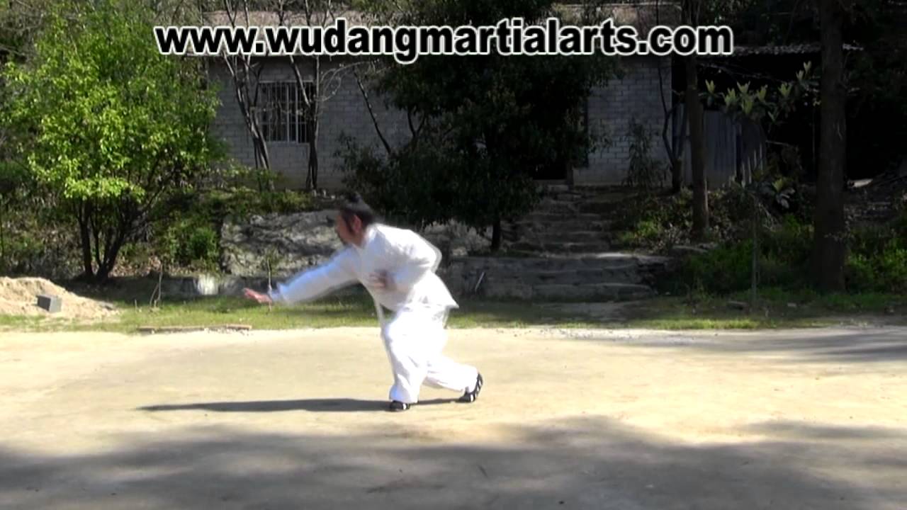 Wudang Fuhu Quan Chen Shiyu by Master Chen Shiyu