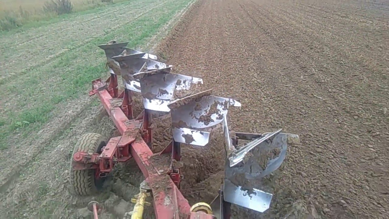 ★Orka pod siew pszenicy 2k18㋡ ★ Massey Ferguson 3690★ Unia Grudziądz 5★