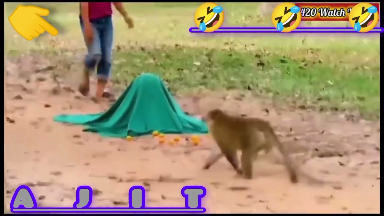 Prank video 🤣🤣