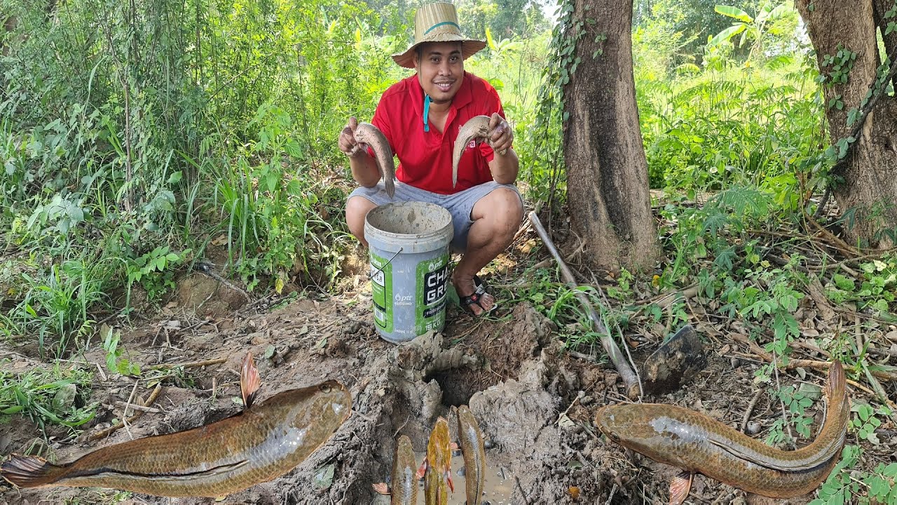Amazing Hole Fish Trap | Smart Boy Build Fish Trap By Muddy soil | Human Catching Fish in Deep Hole