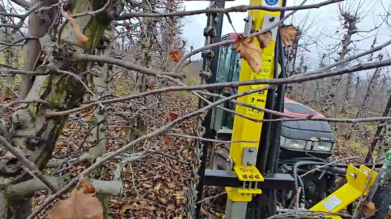 Sadowniczy Vlog 18/2024 - cięcie mechaniczne sadu, kilka słów odnośnie sytuacji w branży sadowniczej